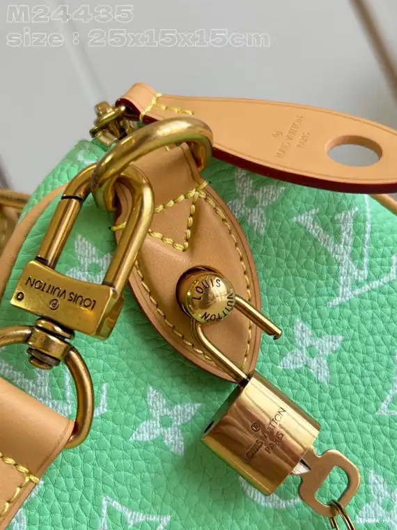Affordable 25 Louis Vuitton SPEEDY 0623